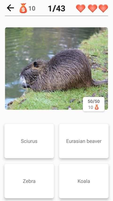 Mammals – Learn All Animals in Foto-Quiz! screenshot 1