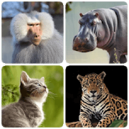 Mammals – Learn All Animals in Foto-Quiz! आइकन
