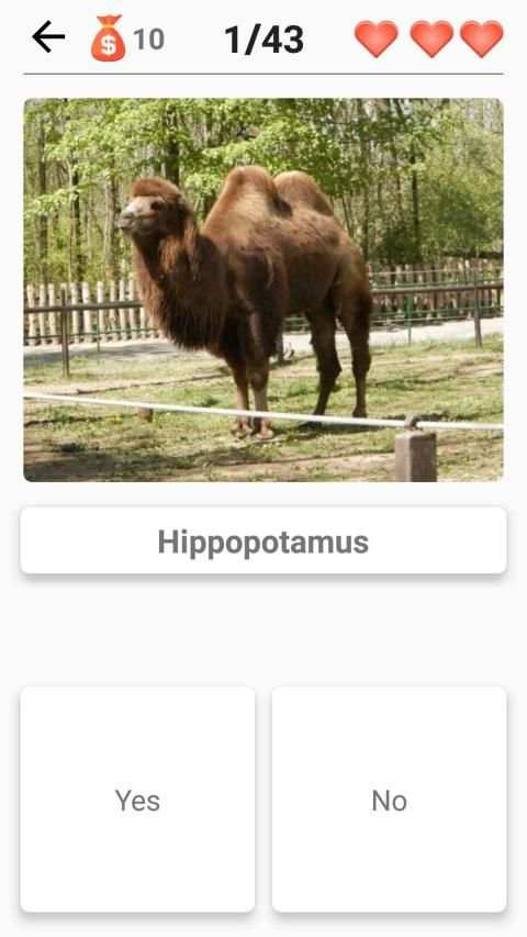 Mammals – Learn All Animals in Foto-Quiz! स्क्रीनशॉट 4