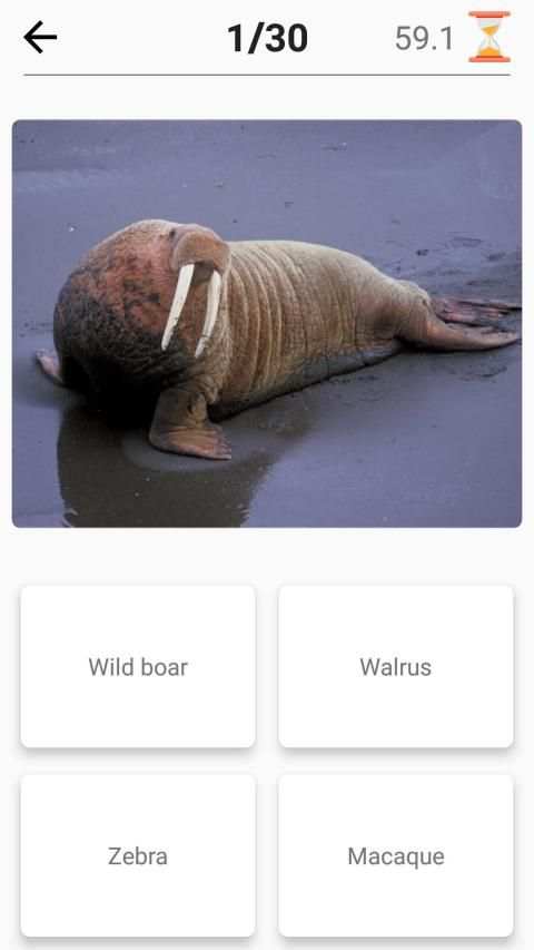 Mammals – Learn All Animals in Foto-Quiz! स्क्रीनशॉट 3