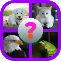 Tebak Gambar Hewan 2020 icon