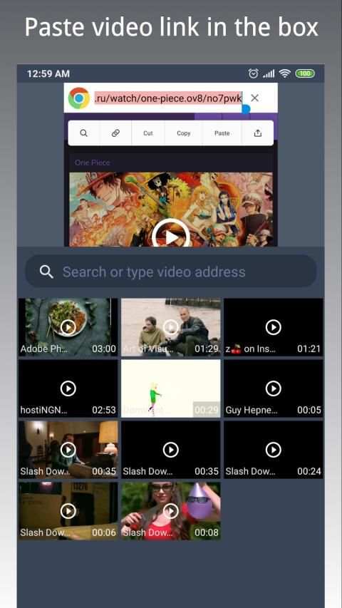Web Video Cutter स्क्रीनशॉट 4