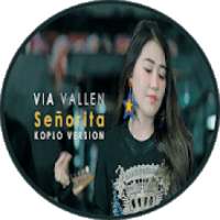 Via Vallen - Senorita Koplo Cover Version on 9Apps