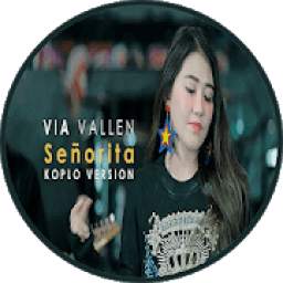 Senorita Koplo Cover Version 1.0
