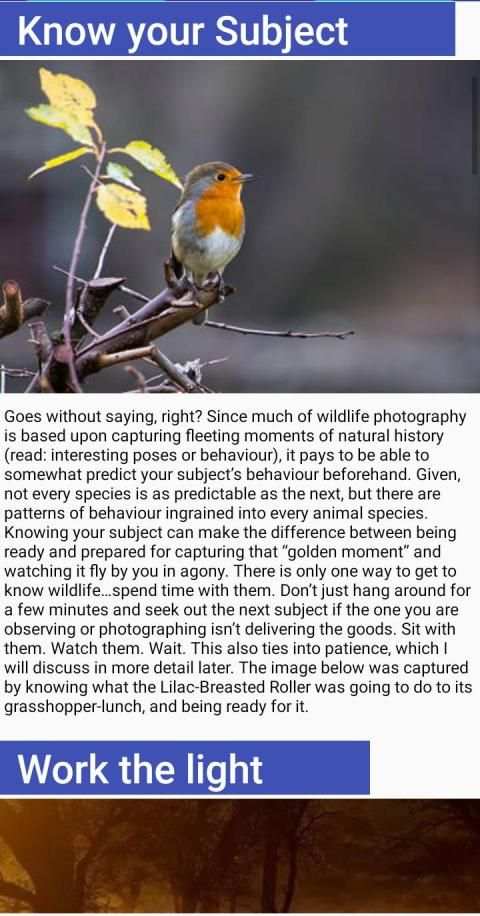 Photography Guide screenshot 5