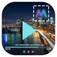 ikon Logo Remover For Video