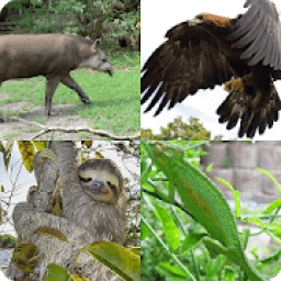 Guess The Animal icon