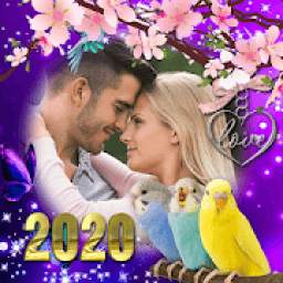 Love Birds Photo Frames - Love Photo Frames 2020