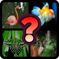 Guess The Animal : Quiz Game