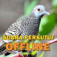 Kicau Suara Burung Perkutut MP3 Offline