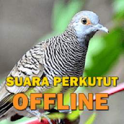 Suara Burung Perkutut 2.8