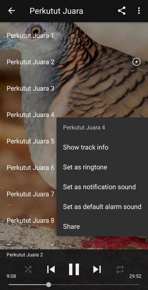 Kicau Suara Burung Perkutut MP3 Offline screenshot 4