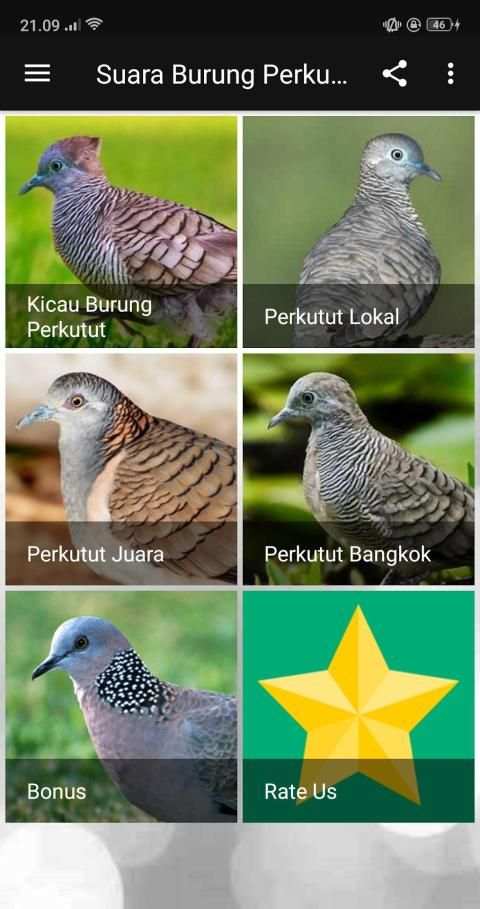 Kicau Suara Burung Perkutut MP3 Offline screenshot 6