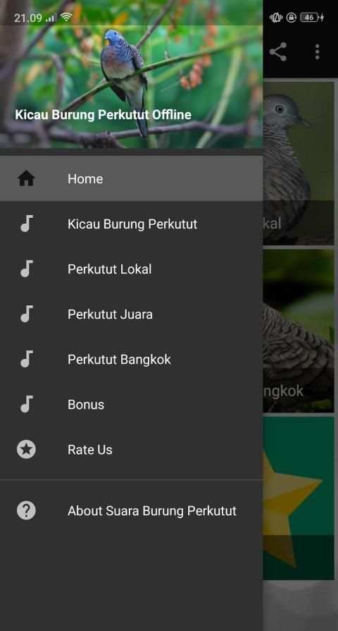 Kicau Suara Burung Perkutut MP3 Offline screenshot 1