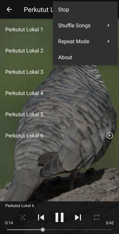 Kicau Suara Burung Perkutut MP3 Offline screenshot 2