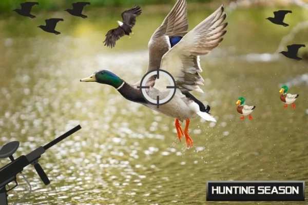 Birds Hunter Challenge: Bird Hunting Games स्क्रीनशॉट 4