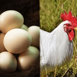 ikon Egg and Chicken Farming (अंडे और मुर्गी फार्म)