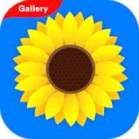 Gallery on 9Apps