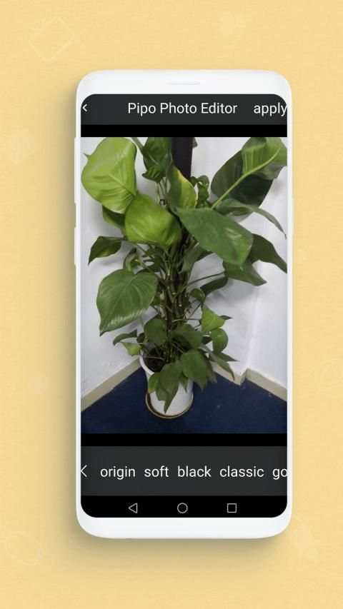 Pipo Photo Editor screenshot 3