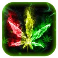 Keyboard Gulungan Rasta Warna