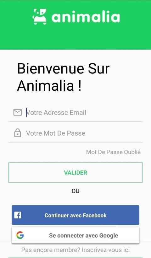 Animalia screenshot 4
