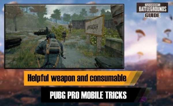Tips for PUPG guide 2020 screenshot 3