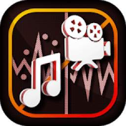 Video and Audio Noise Reducer, Recorder and Editor