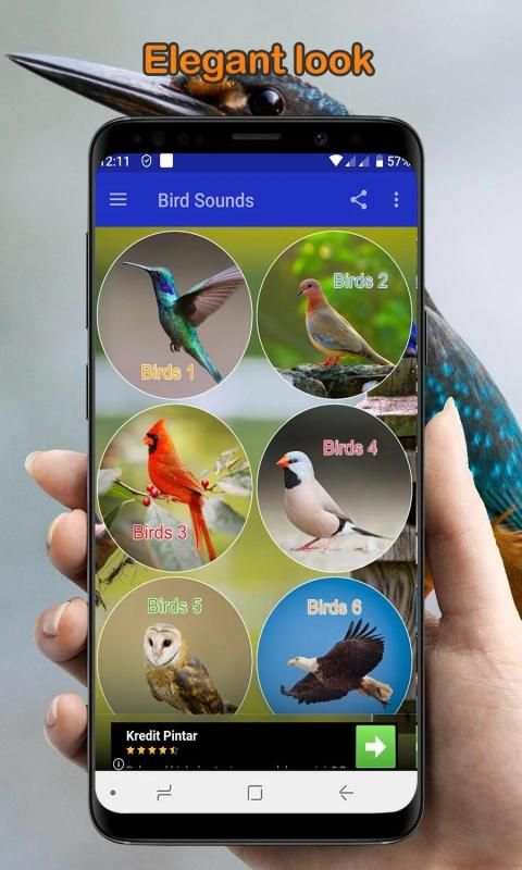 Bird Sounds Collection (Offline) स्क्रीनशॉट 8