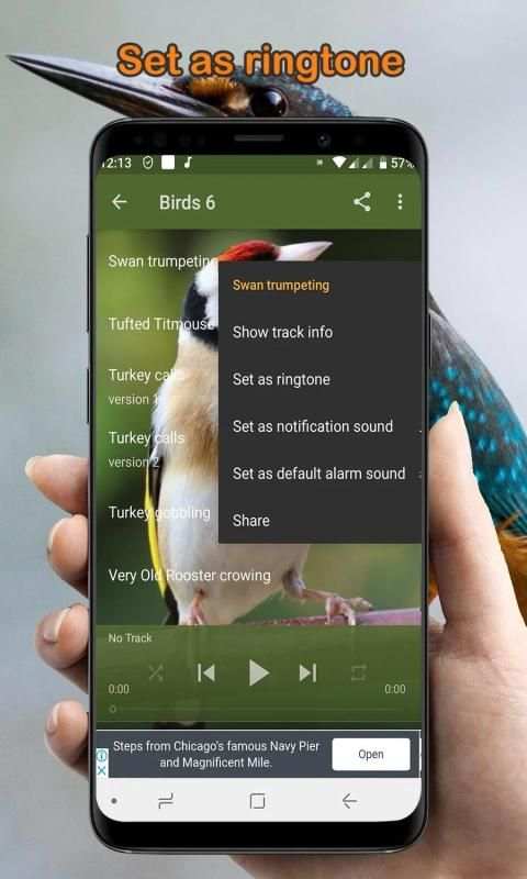 Bird Sounds Collection (Offline) स्क्रीनशॉट 6