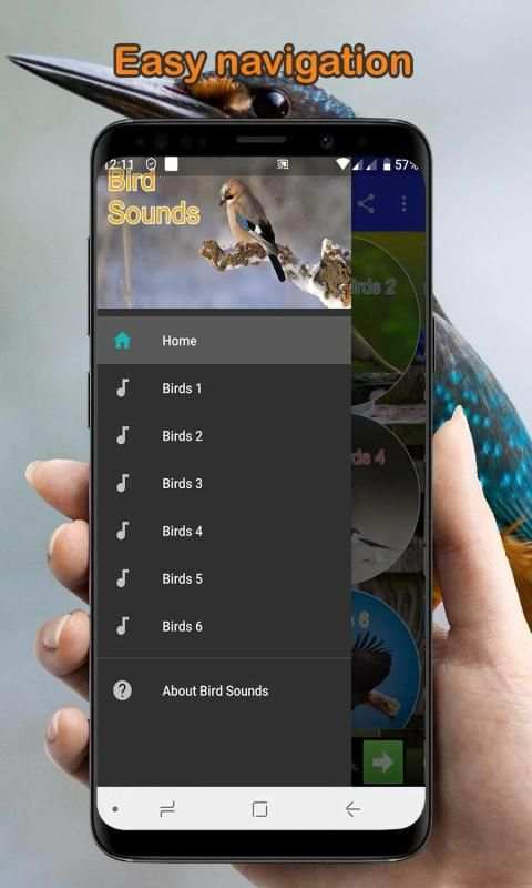 Bird Sounds Collection (Offline) स्क्रीनशॉट 7
