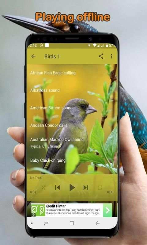 Bird Sounds Collection (Offline) स्क्रीनशॉट 4