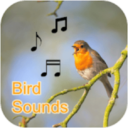 Bird Sounds Collection (Offline) आइकन