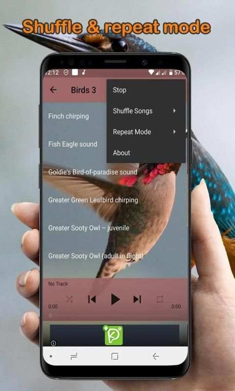 Bird Sounds Collection (Offline) स्क्रीनशॉट 5