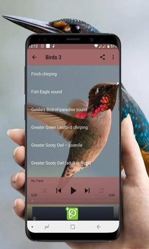 Bird Sounds Collection (Offline) स्क्रीनशॉट 1
