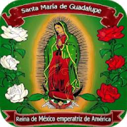Virgen de Guadalupe 12 de Diciembre Imagenes