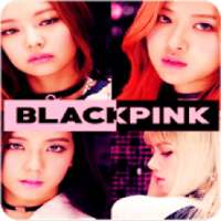 Best BLACKPINK Songs Plus Lyric ( Offline)