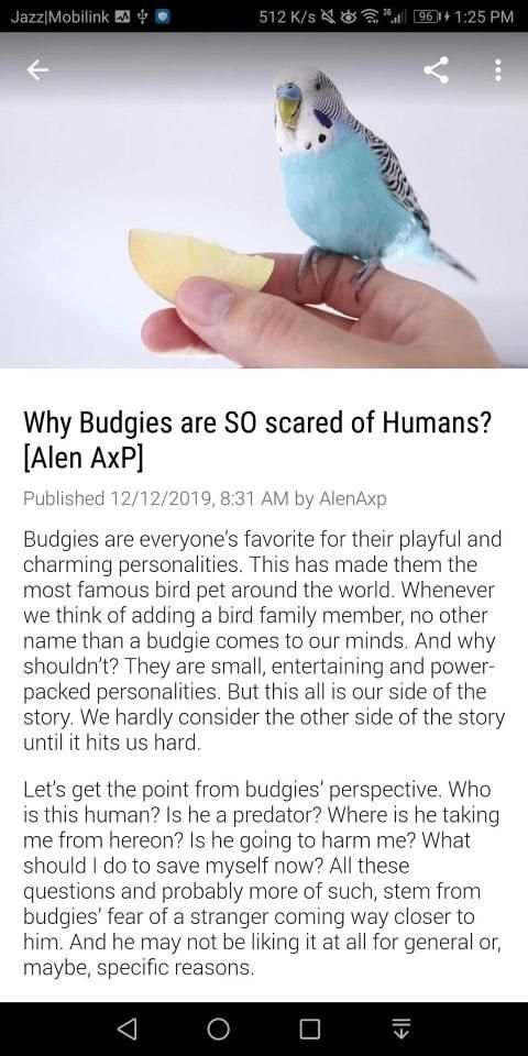 Alen AxP Budgie Community screenshot 3