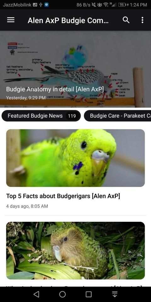 Alen AxP Budgie Community screenshot 6