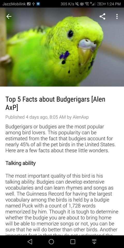 Alen AxP Budgie Community screenshot 5