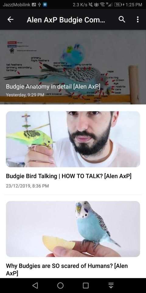 Alen AxP Budgie Community screenshot 4
