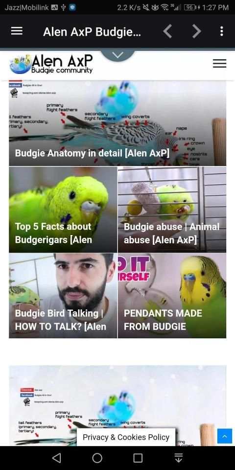 Alen AxP Budgie Community screenshot 1