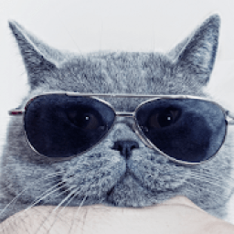 ikon Sounds Cats Love – Cat Sounds Free - Cat Meows