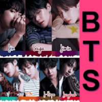 BTS feat Halsey - Boy With Luv - New Song 2019 on 9Apps