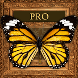 Frame Photo Collage आइकन