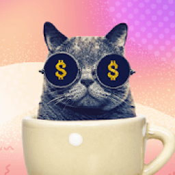 Cup of Cat icon