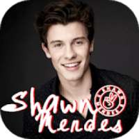Shawn Mendes Song Offline 2019 on 9Apps
