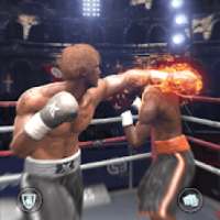 Punch Hero Boxing - punch club 3D