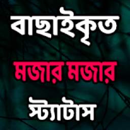 বাছাইকৃত মজার মজার স্ট্যাটাস