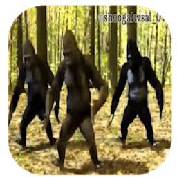 يا سعود العلي عذبني بلغه القرود‎ بدون انترنت
‎ आइकन