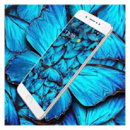Blue Pattern Butterfly Theme 1.1.2